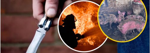 Різанина у Криворіжському районі