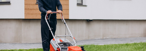 Помилки, яких допускаються городники у догляді за газоном