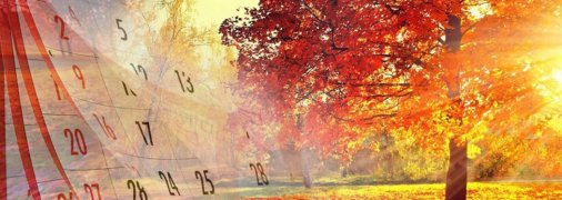 Выходные в октябре