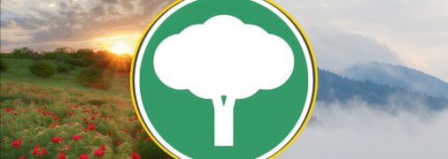 Иллюстративное фото