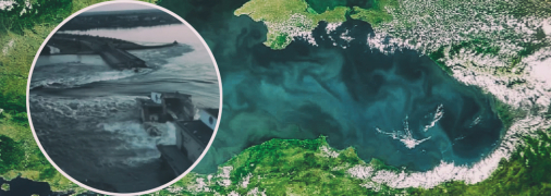 Россияне устроили огромную экологическую катастрофу