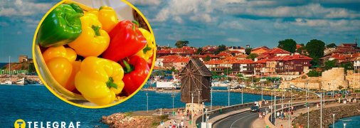 Болгария, сладкий перец