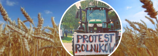 Фермеры в ЕС протестуют из-за того, что украинское зерно обвалило цены