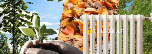 Плантації не лише забезпечують тепло, а й покращують ґрунт