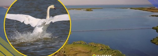 Ілюстративне фото