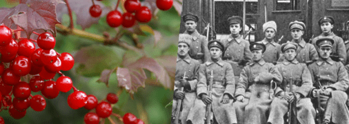 Січові стрільці