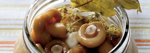 Як смачно засолити грузді — простий рецепт
