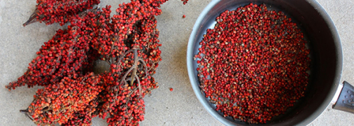 Сумак: что это за приправа и куда добавлять