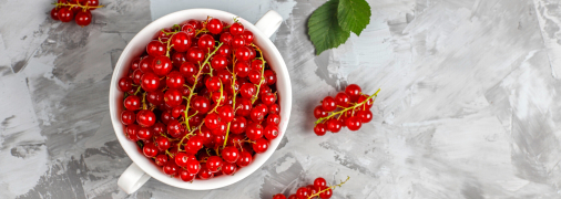 Смородина – улюблена культура дачників