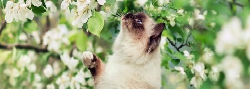 Синоптики рассказали, каких сюрпризов ждать от погоды в последние выходные весны