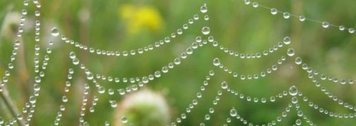 19 июля - праздник, что категорически запрещено делать, главные приметы