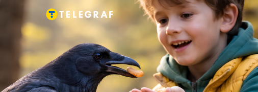 Ворона та дитина