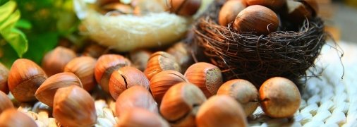 Ореховый Спас