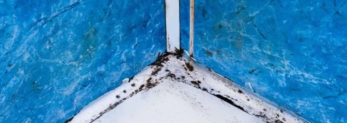 Избавление от плесени — это еще и забота о вашем здоровье