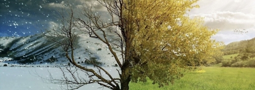 +15 °C в феврале: синоптики рассказали, когда ждать "весны" посреди зимы