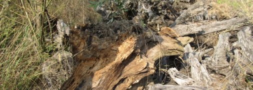 Здесь может скрываться опасность