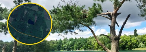 Грицевский карьер — где находится и что есть для отдыха