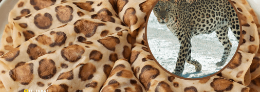Леопардові млинці