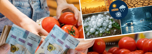В Україні вартість головного овоча літа летить униз