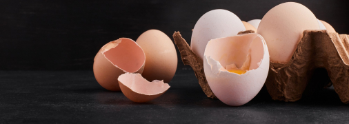 Шкаралупа яєць стане в нагоді в дачних цілях