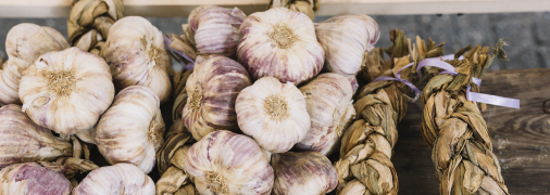 Часник не любить місця з підвищеною вологістю