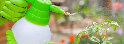 От тли не останется и следа