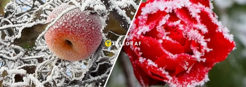 Заморозки в Україні