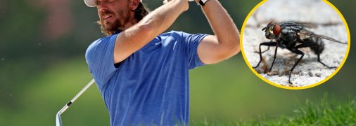 Томмі Флітвуд