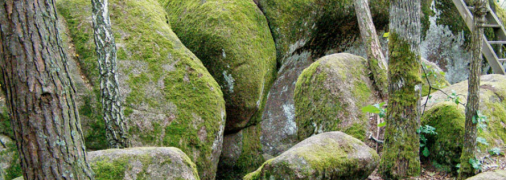 Сбоку каменные глыбы действительно напоминают дома. Отсюда пошла легенда о том, что раньше здесь стояло село