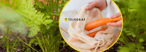 Хранение моркови