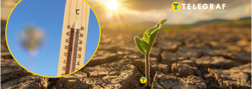 Чим загрожує спека та посуха в Україні