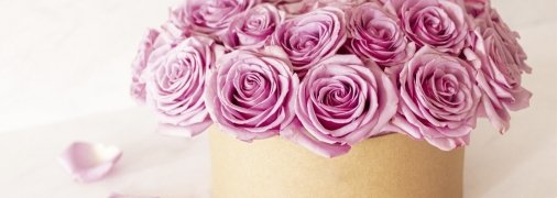 Оли невероятно коммуникабельные и общительные