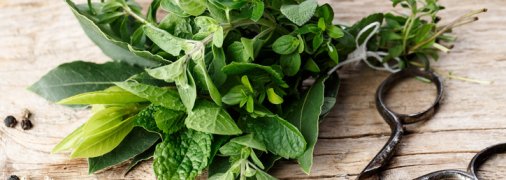 Как заморозить зелень: 4 способа