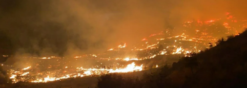 Пожар охватил курортную провинцию Мугла