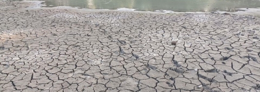 Такой вид имеет озеро "Синее" в августе этого года