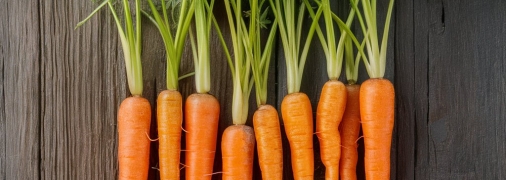 Есть определенные секреты выращивания сладкой моркови (изображение создано с помощью ИИ)