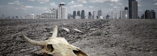 Антропогенне вимирання