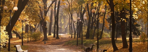 Бабине літо