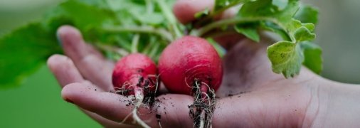 Жодних клопотів - тільки реальна користь