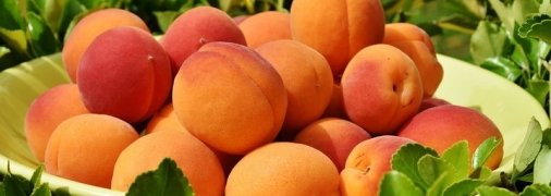Названа опасность персиков и абрикосов