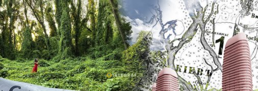 Киевское урочище Горбачиха на левом берегу Днепра давно должно было стать заповедной территорией