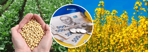 Соя и рапс в Украине