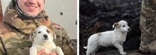 Фото Вікторії Пушкіної