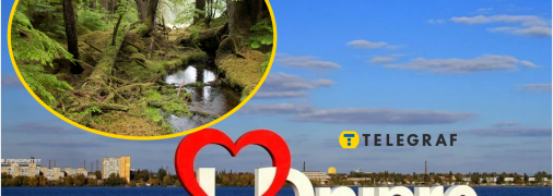 У Дніпрі сфотографували рідкісного птаха