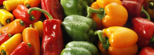 "Девочки" - в салаты, "мальчики" - в рагу: как выбрать болгарский перец