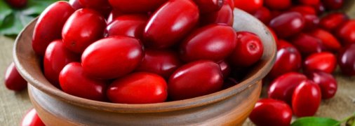 Заготовки из кизила на зиму: топ-5 рецептов