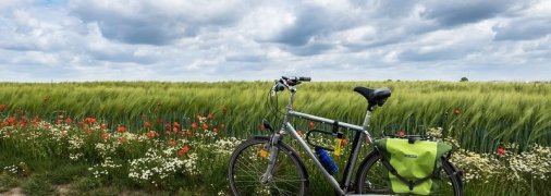 День Святого мученика Феодота: народные приметы и запреты 20 июня