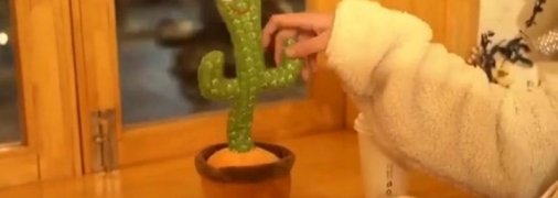 Игрушка-кактус задорно танцует под польскую песню о наркоманах и самоубийстве (видео)