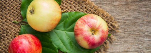 На Яблочный Спас не принято было сидеть дома