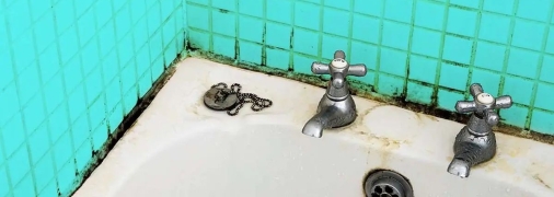 Все необходимые чистящие средства уже есть в вашем доме